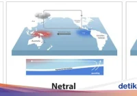 Apa itu El Nino? Ini 6 hal yang perlu dipersiapkan! [titlebase] – Panduan Lengkap untuk Warga Indonesia