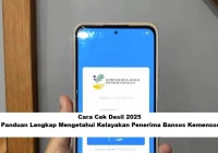 Cara Cepat Cek Desil Pendapatan: Panduan Lengkap untuk Warga Indonesia