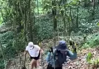 Klarifikasi Pengelola Bukit Paniisan: Video Viral Pungli di Jalur Trekking Sentul Bukan Pemalakan – Portal7