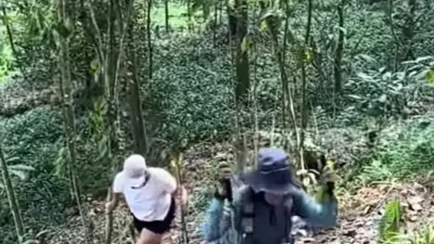 Klarifikasi Pengelola Bukit Paniisan: Video Viral Pungli di Jalur Trekking Sentul Bukan Pemalakan – Portal7