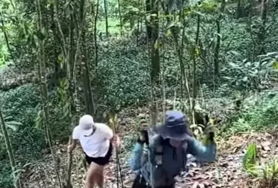 Klarifikasi Pengelola Bukit Paniisan: Video Viral Pungli di Jalur Trekking Sentul Bukan Pemalakan – Portal7