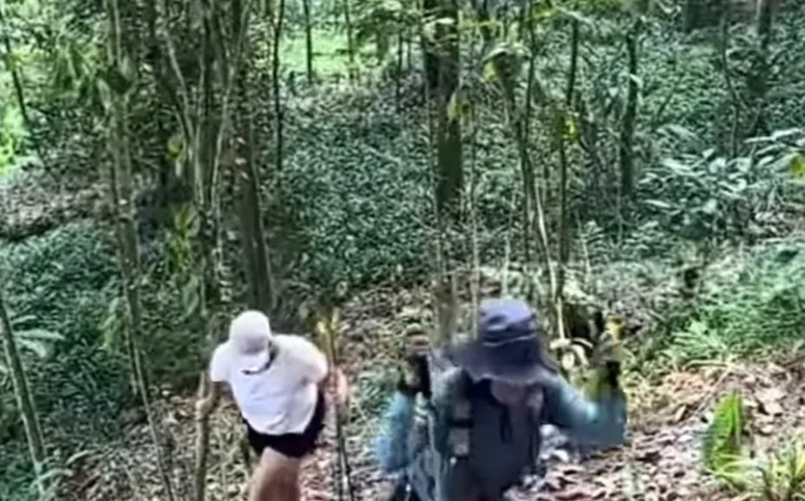 Klarifikasi Pengelola Bukit Paniisan: Video Viral Pungli di Jalur Trekking Sentul Bukan Pemalakan – Portal7