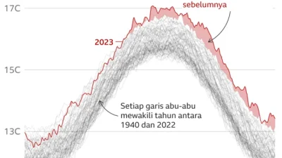 Krisis climate change: Apa yang Terjadi di Indonesia dan Solusi Global