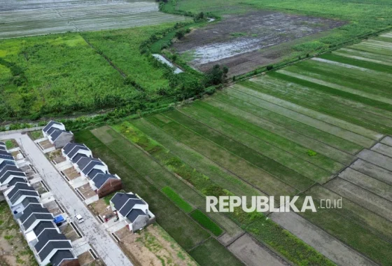 Menteri Agraria Tegaskan Denda Besar untuk Alih Fungsi Sawah, Setengah Juta Hektar Terancam Hilang