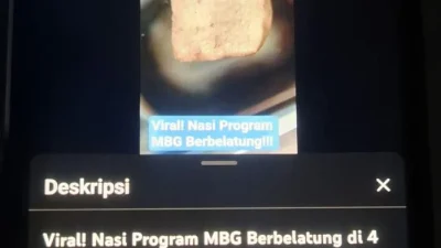 Tahu Bakso MBG Kudus Viral, Penyelidikan Temukan Belatung di Produk