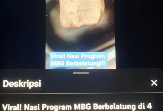 Tahu Bakso MBG Kudus Viral, Penyelidikan Temukan Belatung di Produk