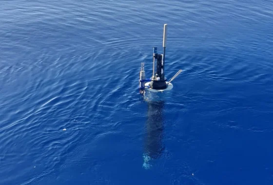 Terobosan Baru: pmgo Hadir Mengubah Cara Manajemen Proyek di Indonesia