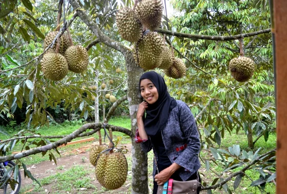 Video Ibu Tiri Part 3 Gegerkan Medsos, Soroti Lokasi Kebun Durian – AsatuNews.co.id: Fakta Lengkap dan Dampaknya