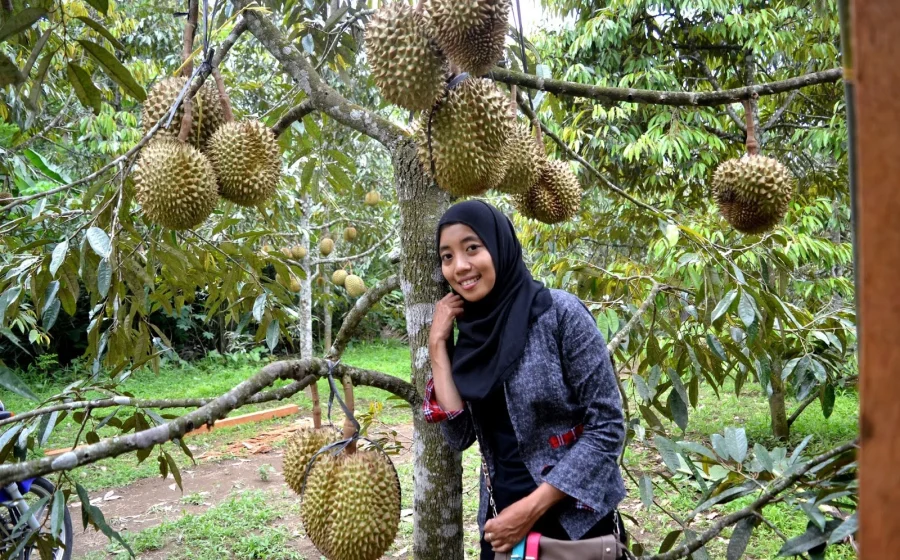 Video Ibu Tiri Part 3 Gegerkan Medsos, Soroti Lokasi Kebun Durian – AsatuNews.co.id: Fakta Lengkap dan Dampaknya