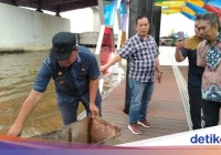 Viral di Medsos, Petugas Buang Sampah ke Sungai Picu Kecaman – Berita Borneo: Fakta Lengkap dan Reaksi Publik
