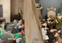 Viral Kontrakan Penuh Sampah, Penyewa 7 Tahun Diusir Pemilik – hasanah.id: Mengungkap Kronologi dan Dampaknya