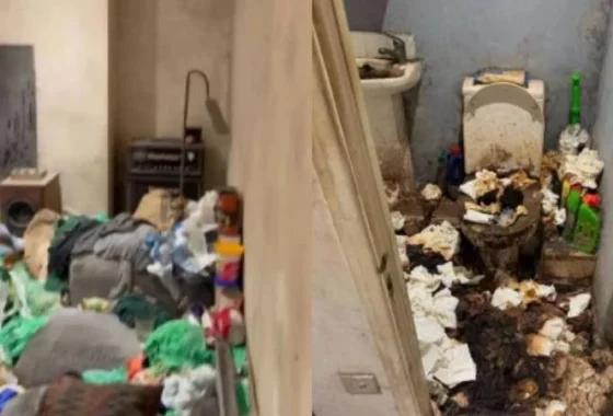 Viral Kontrakan Penuh Sampah, Penyewa 7 Tahun Diusir Pemilik – hasanah.id: Mengungkap Kronologi dan Dampaknya