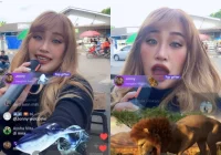 Viral Pinkan Mambo Live TikTok di Pinggir Jalan Lagi, Aksinya Tuai Pro dan Kontra – hasanah.id: Fenomena yang Bikin Heboh