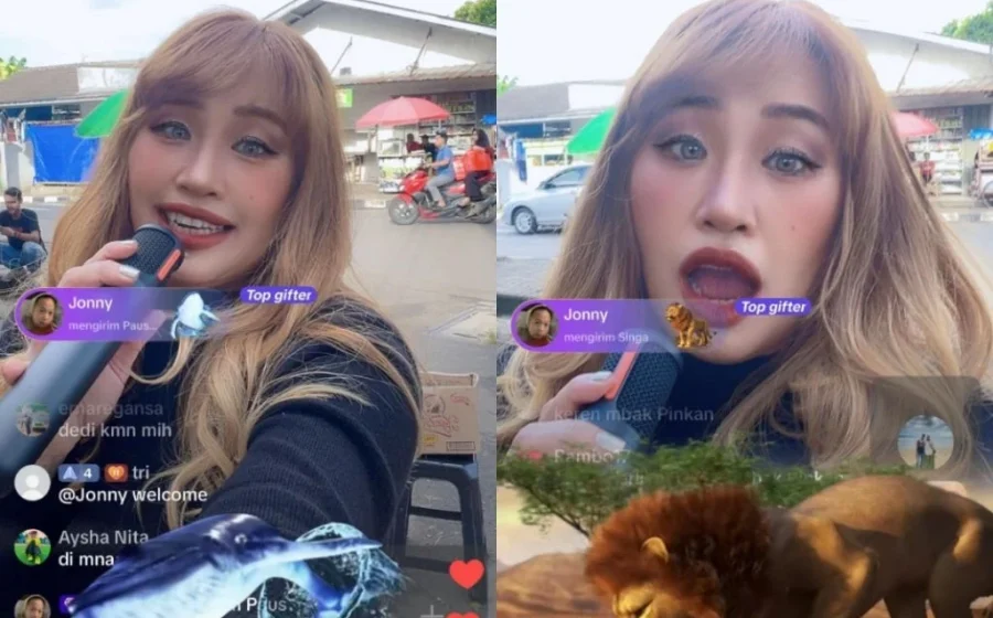 Viral Pinkan Mambo Live TikTok di Pinggir Jalan Lagi, Aksinya Tuai Pro dan Kontra – hasanah.id: Fenomena yang Bikin Heboh