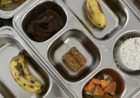 Viral Video Cuci Ayam MBG di Kamar Mandi Masjid Bogor, Kepala SPPG Angkat Bicara Soal Izin dan Kondisi Darurat – VOA Bogor