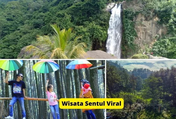 Viral Video Dinarasikan Pungli di Bukit Sentul, Pemkab Bogor Buka Suara – detikNews: Fakta Lengkap dan Tindak Lanjut