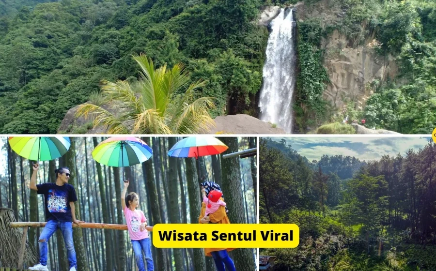 Viral Video Dinarasikan Pungli di Bukit Sentul, Pemkab Bogor Buka Suara – detikNews: Fakta Lengkap dan Tindak Lanjut