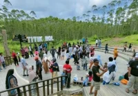 Viral Wisatawan Diminta Rp 25 Ribu di Kintamani, Dispar Buka Suara – detikcom: Kontroversi Biaya Turis