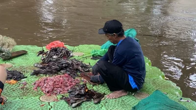 6 karung ikan sapu-sapu ditangkap petugas PPSU di samping Mal Bundaran HI [titlebase] – Pengungkapan Lengkap Kasus Penangkapan Ikan Ilegal