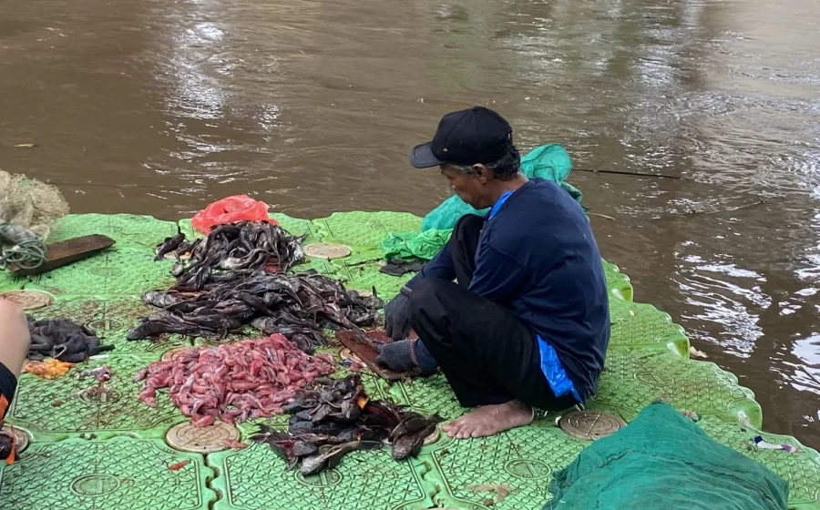 6 karung ikan sapu-sapu ditangkap petugas PPSU di samping Mal Bundaran HI [titlebase] – Pengungkapan Lengkap Kasus Penangkapan Ikan Ilegal