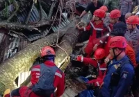 Anak ojol korban tewas tertimpa pohon di Palembang ungkap impian sang ayah, Ratu Dewa turun tangan [titlebase] – Tragedi yang menggugah hati