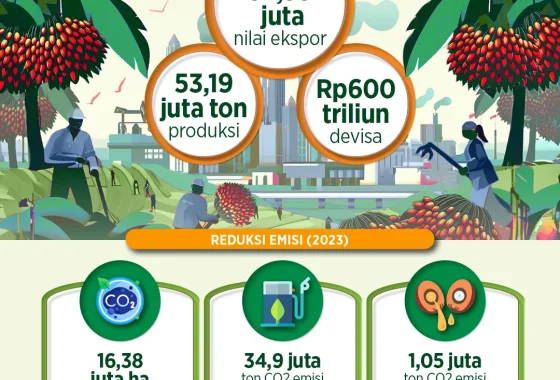 Berdaulat dari Sawit – IMBCNews: Upaya Indonesia Menjamin Kedaulatan Industri Kelapa Sawit