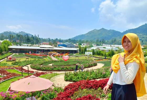 Beta Agrowisata Curup viral, tawarkan hamparan bunga estetik bernuansa pegunungan – ANTARA News Bengkulu: Destinasi Fotogenik yang Menggoda Wisatawan