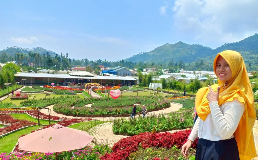 Beta Agrowisata Curup viral, tawarkan hamparan bunga estetik bernuansa pegunungan – ANTARA News Bengkulu: Destinasi Fotogenik yang Menggoda Wisatawan