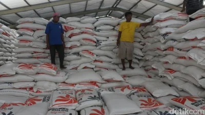 Bulog pastikan penyerapan 4 juta ton beras 2026 tercapai [titlebase] – Langkah Strategis Menghadapi Krisis Pangan