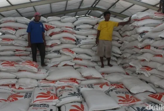 Bulog pastikan penyerapan 4 juta ton beras 2026 tercapai [titlebase] – Langkah Strategis Menghadapi Krisis Pangan