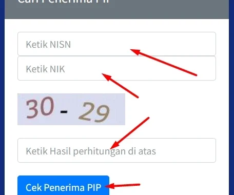 Cek PIP: Panduan Lengkap Cara Memeriksa PIP Secara Efektif dan Aman