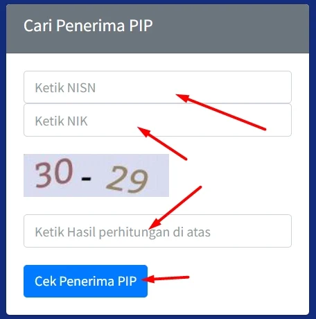 Cek PIP: Panduan Lengkap Cara Memeriksa PIP Secara Efektif dan Aman