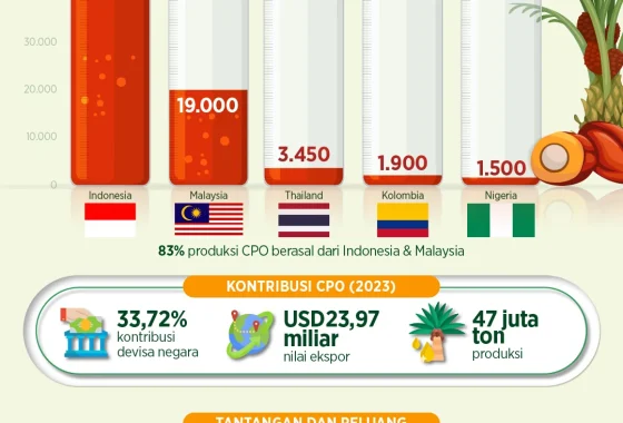 Dari limbah menuju ekspor ke 50 negara [titlebase] Guncang Pasar Global dengan Inovasi Hijau