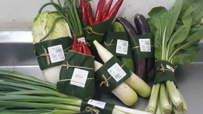 Daun Pisang, Alternatif Kemasan Plastik – IMBCNews: Solusi Hijau untuk Industri Pengemasan