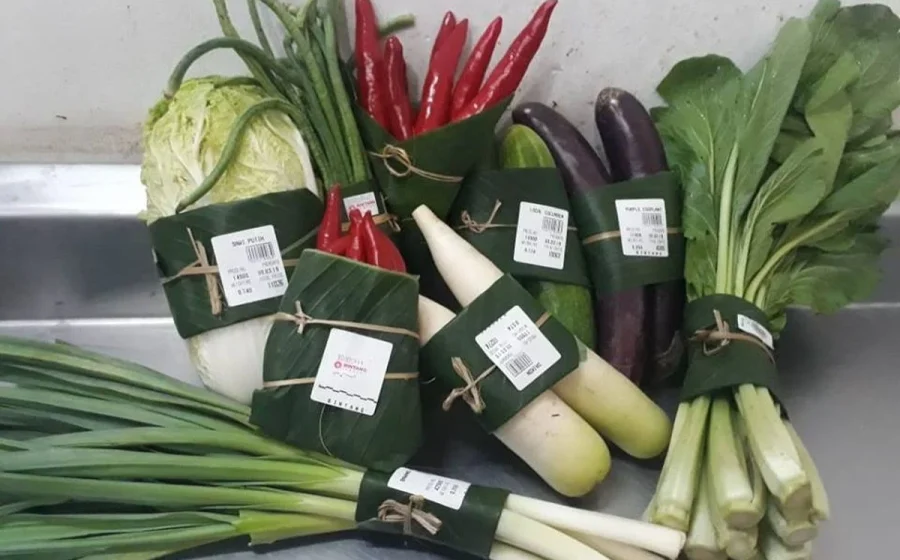 Daun Pisang, Alternatif Kemasan Plastik – IMBCNews: Solusi Hijau untuk Industri Pengemasan