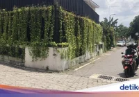 Duo Bang Jago Viral Tendang-Ludahi Pemotor di Jogja Ternyata Ayah-Anak – detikcom: Kronologi, Dampak, dan Tindakan Hukum