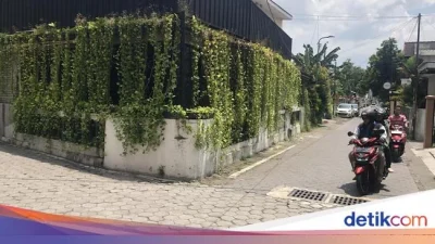 Duo Bang Jago Viral Tendang-Ludahi Pemotor di Jogja Ternyata Ayah-Anak – detikcom: Kronologi, Dampak, dan Tindakan Hukum