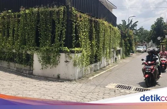 Duo Bang Jago Viral Tendang-Ludahi Pemotor di Jogja Ternyata Ayah-Anak – detikcom: Kronologi, Dampak, dan Tindakan Hukum