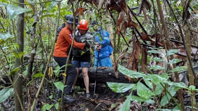 Fakta-fakta Viral Balita 1,5 Tahun Hipotermia di Gunung Ungaran – detikcom: Kronologi, Dampak, dan Tindakan Penyelamatan