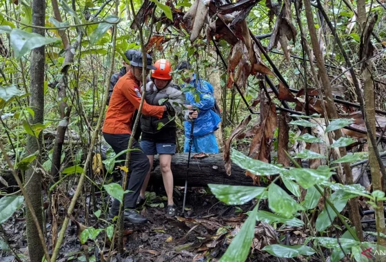 Fakta-fakta Viral Balita 1,5 Tahun Hipotermia di Gunung Ungaran – detikcom: Kronologi, Dampak, dan Tindakan Penyelamatan