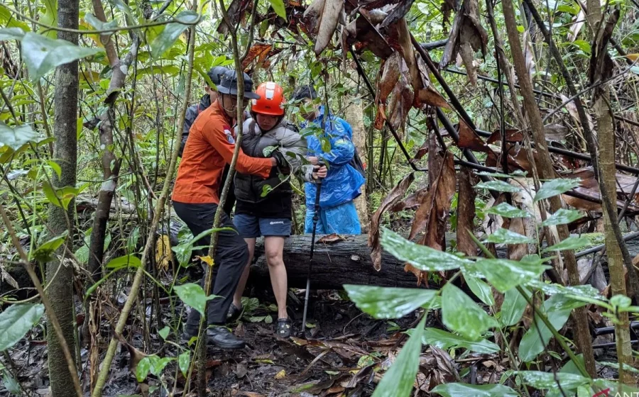 Fakta-fakta Viral Balita 1,5 Tahun Hipotermia di Gunung Ungaran – detikcom: Kronologi, Dampak, dan Tindakan Penyelamatan