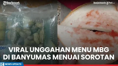 MBG Dayeuhkolot Dihentikan Sementara Usai Video Makanan Bau Viral – BeritaSatu.com: Update Terbaru