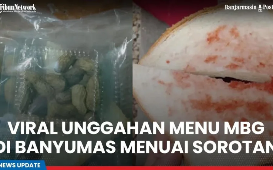 MBG Dayeuhkolot Dihentikan Sementara Usai Video Makanan Bau Viral – BeritaSatu.com: Update Terbaru