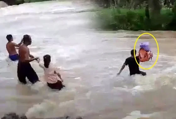 Once Viral, Remote Elementary Students in Central Sulawesi Who Swam to School Now Have a Bridge Being Built – prabowosubianto.com