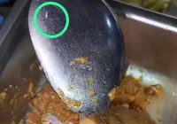 Polisi hentikan kasus viral roti berbelatung MBG di Lombok Tengah – ANTARA News