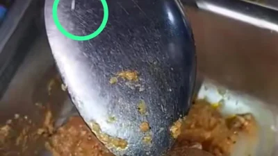 Polisi hentikan kasus viral roti berbelatung MBG di Lombok Tengah – ANTARA News