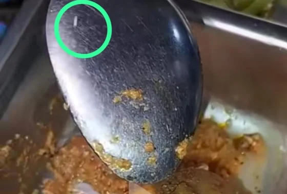 Polisi hentikan kasus viral roti berbelatung MBG di Lombok Tengah – ANTARA News