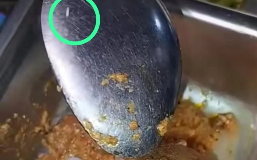 Polisi hentikan kasus viral roti berbelatung MBG di Lombok Tengah – ANTARA News