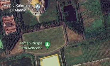 Satelit Ungkap Pemilik Bangunan Megah yang Viral di Pulau Kalimantan – detikcom