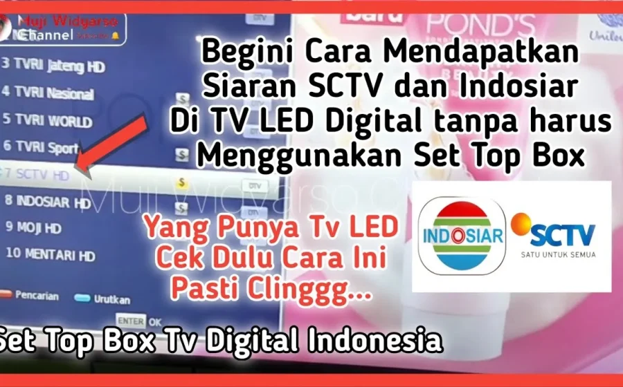 SCTV Live Streaming: Cara Mudah Tonton Siaran TV Lokal Tanpa Batas